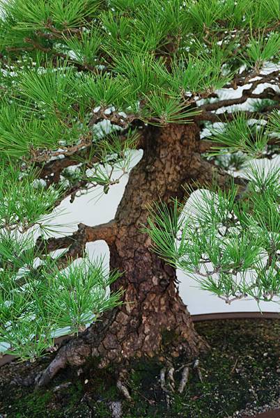 DSC_6302.jpg DSC_6302.jpg