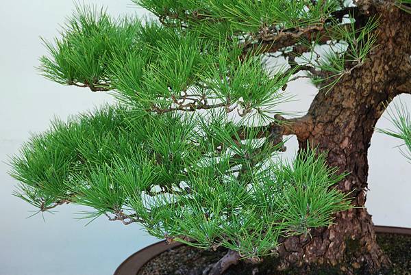 DSC_6303.jpg DSC_6303.jpg