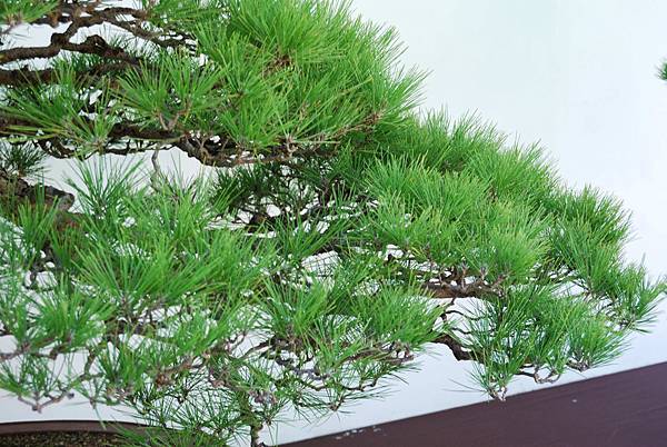 DSC_6304.jpg DSC_6304.jpg