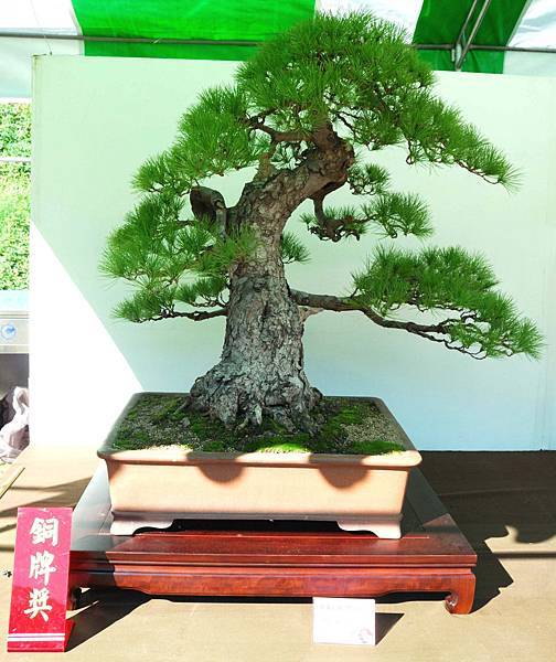 DSC_6305.jpg DSC_6305.jpg