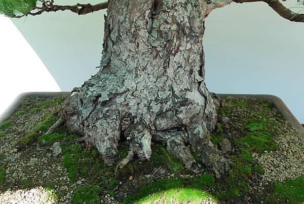 DSC_6307.jpg DSC_6307.jpg