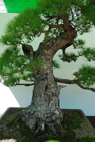 DSC_6308.jpg DSC_6308.jpg