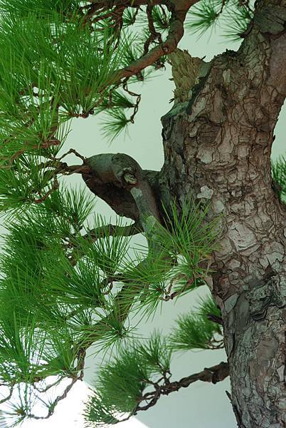 DSC_6310.jpg DSC_6310.jpg