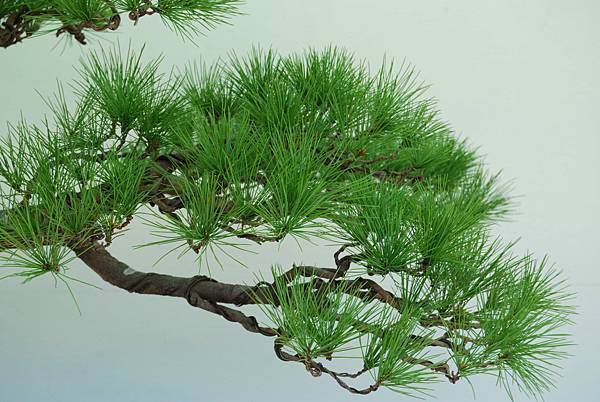 DSC_6311.jpg DSC_6311.jpg