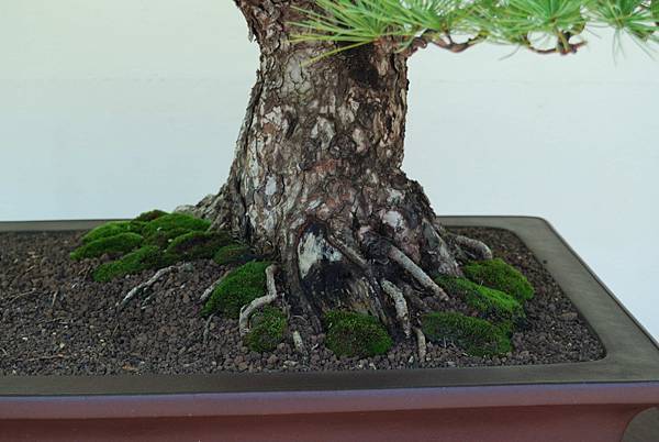 DSC_6314.jpg DSC_6314.jpg