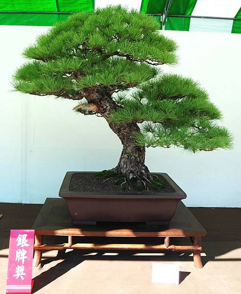 DSC_6312.jpg DSC_6312.jpg