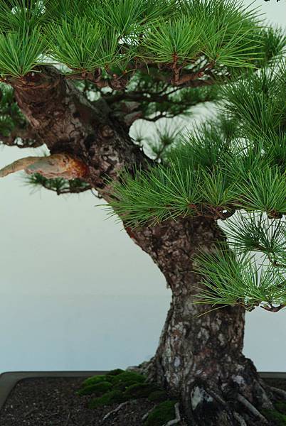 DSC_6316.jpg DSC_6316.jpg