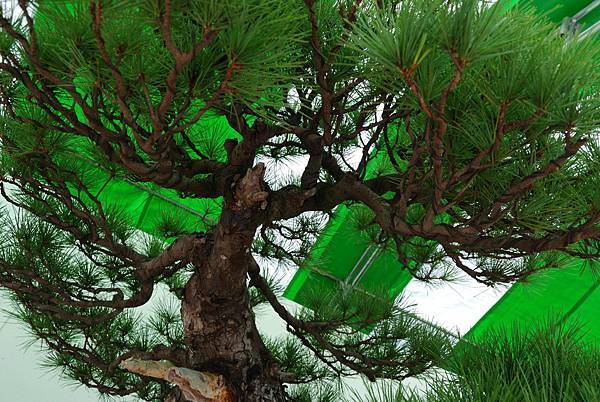 DSC_6318.jpg DSC_6318.jpg