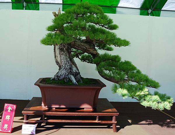 DSC_6320.jpg DSC_6320.jpg