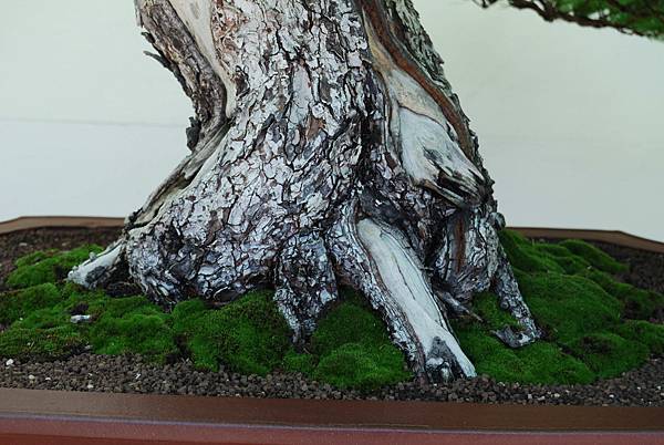 DSC_6322.jpg DSC_6322.jpg