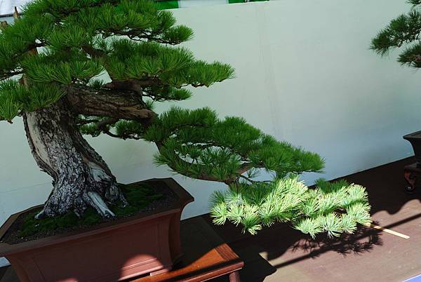 DSC_6324.jpg DSC_6324.jpg