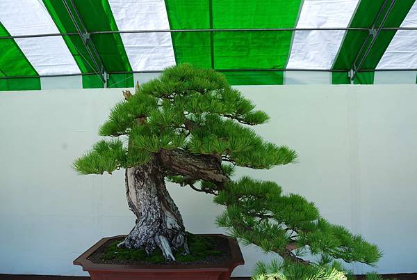 DSC_6327.jpg DSC_6327.jpg