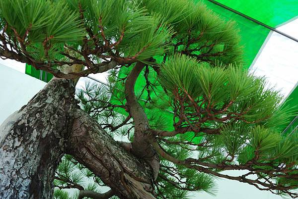 DSC_6326.jpg DSC_6326.jpg