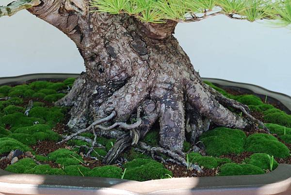 DSC_6330.jpg DSC_6330.jpg