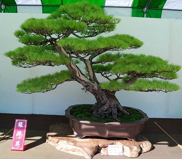 DSC_6328.jpg DSC_6328.jpg