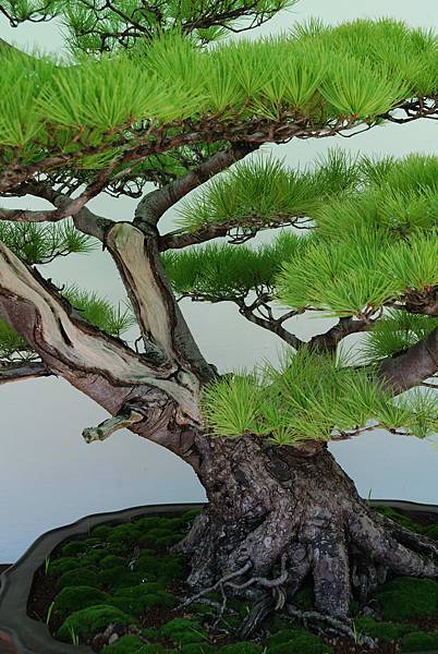 DSC_6332.jpg DSC_6332.jpg