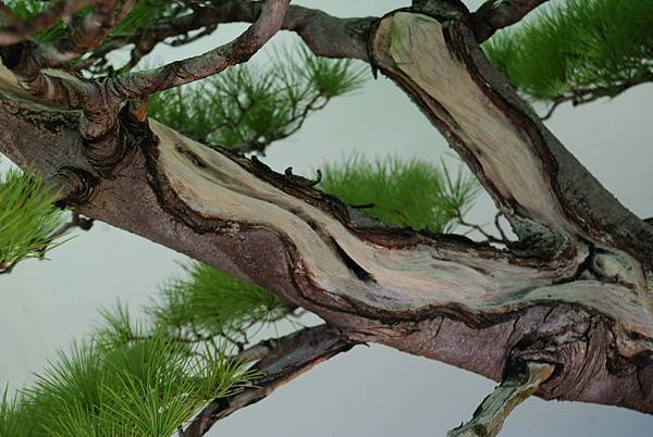 DSC_6336.jpg DSC_6336.jpg