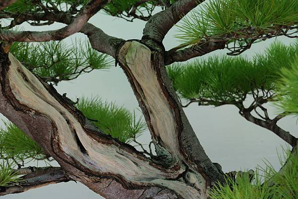 DSC_6337.jpg DSC_6337.jpg