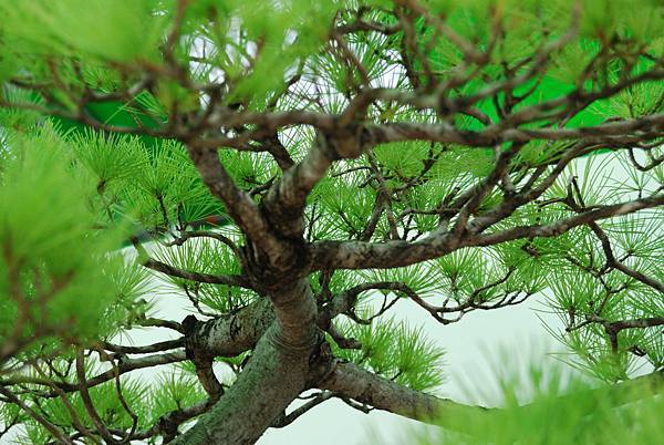 DSC_6338.jpg DSC_6338.jpg