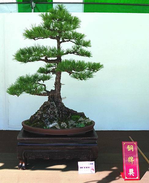 DSC_6341.jpg DSC_6341.jpg