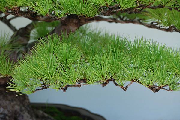 DSC_6340.jpg DSC_6340.jpg