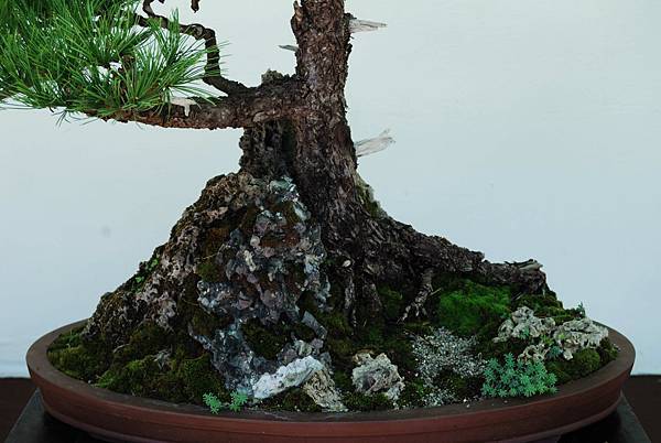 DSC_6343.jpg DSC_6343.jpg