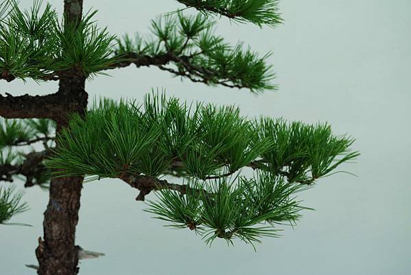 DSC_6345.jpg DSC_6345.jpg