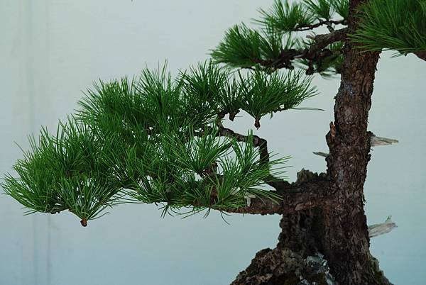 DSC_6344.jpg DSC_6344.jpg