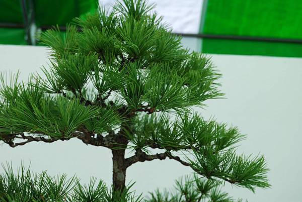 DSC_6347.jpg DSC_6347.jpg