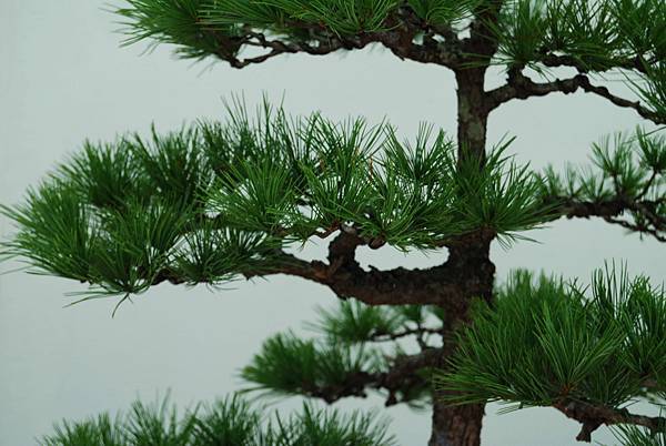 DSC_6346.jpg DSC_6346.jpg