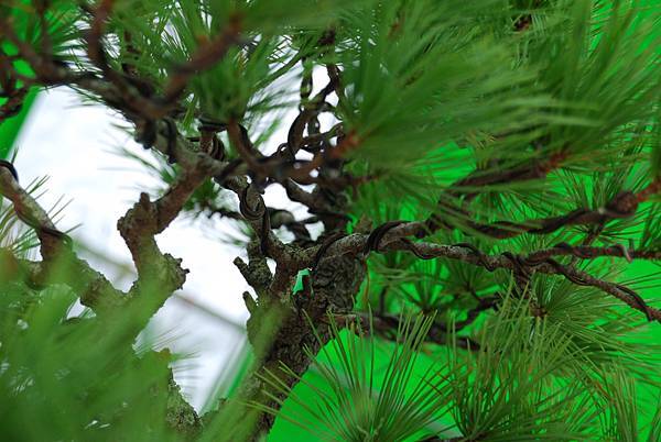 DSC_6348.jpg DSC_6348.jpg