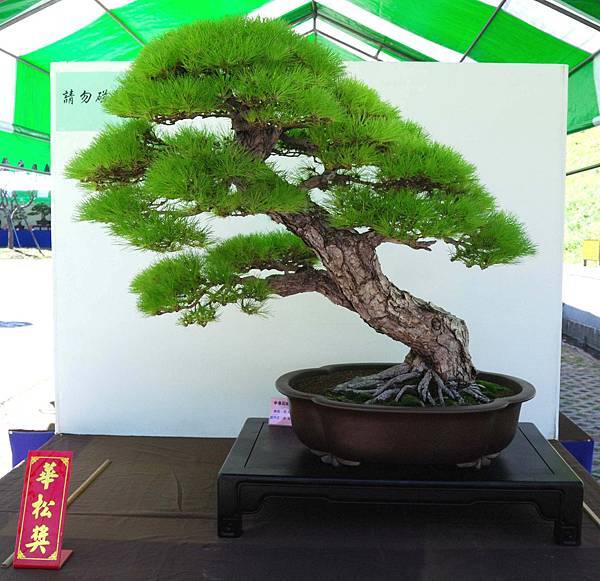 DSC_6349.jpg DSC_6349.jpg