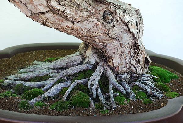 DSC_6353.jpg DSC_6353.jpg