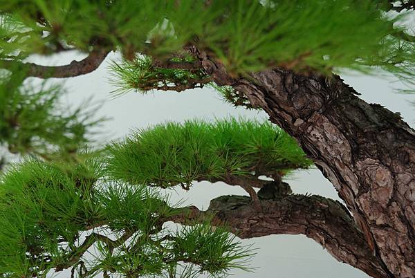 DSC_6360.jpg DSC_6360.jpg