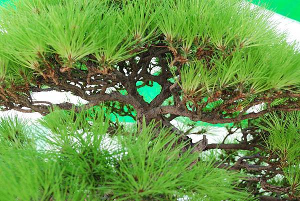 DSC_6364.jpg DSC_6364.jpg