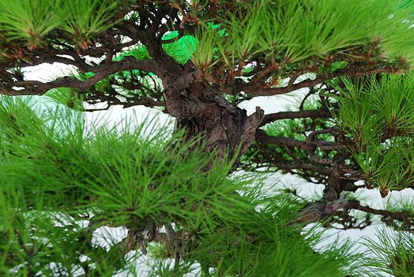 DSC_6365.jpg DSC_6365.jpg