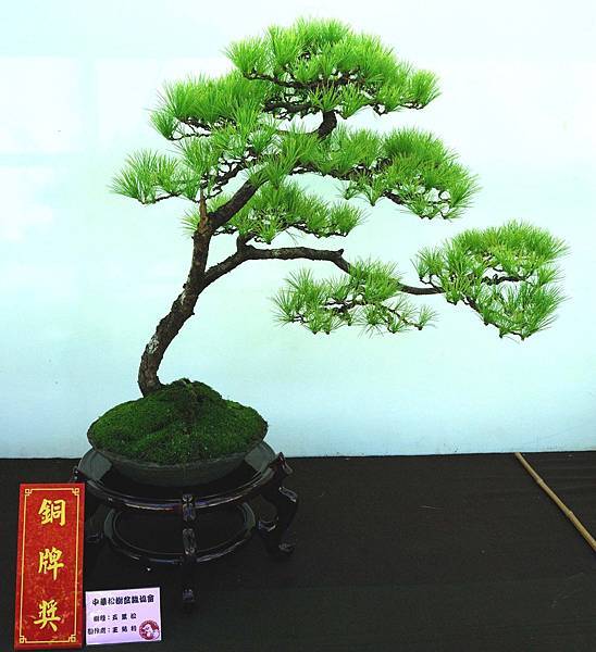 DSC_6370.jpg DSC_6370.jpg