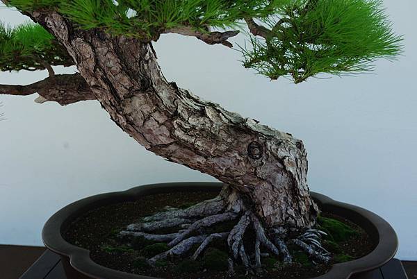 DSC_6369.jpg DSC_6369.jpg