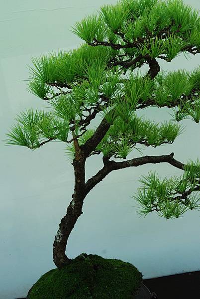 DSC_6373.jpg DSC_6373.jpg