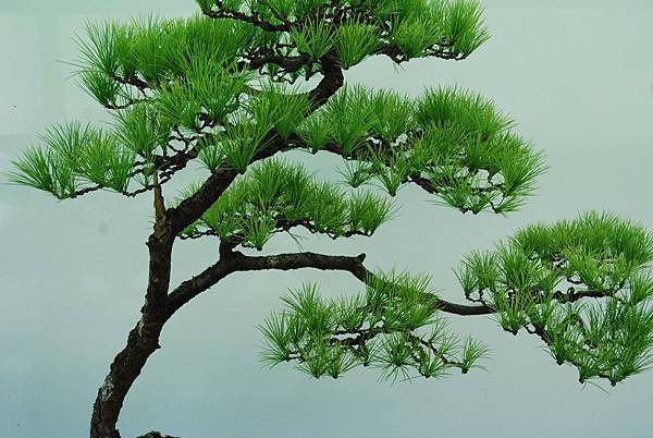 DSC_6374.jpg DSC_6374.jpg