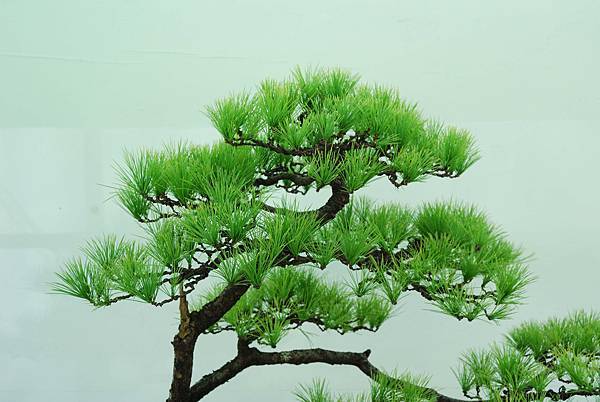 DSC_6375.jpg DSC_6375.jpg