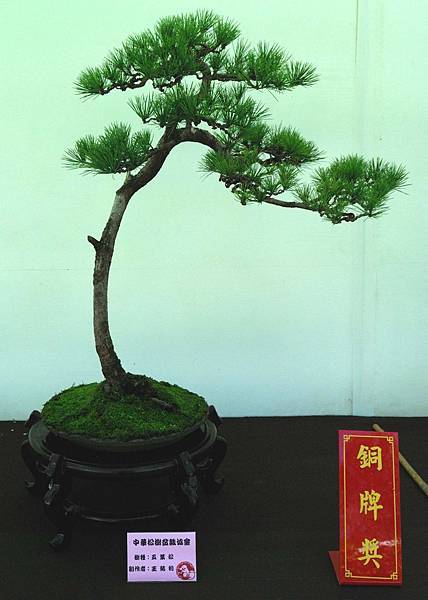 DSC_6377.jpg DSC_6377.jpg