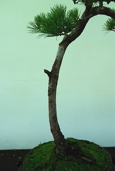 DSC_6379.jpg DSC_6379.jpg