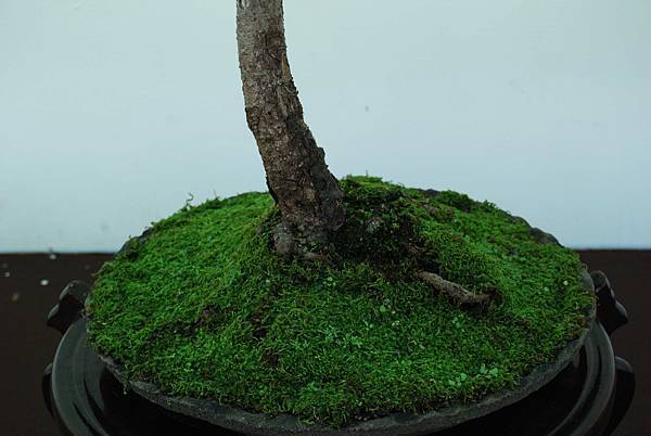 DSC_6380.jpg DSC_6380.jpg