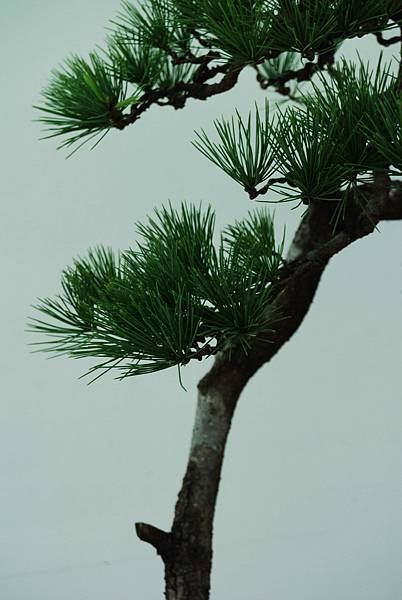 DSC_6381.jpg DSC_6381.jpg