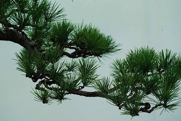 DSC_6382.jpg DSC_6382.jpg