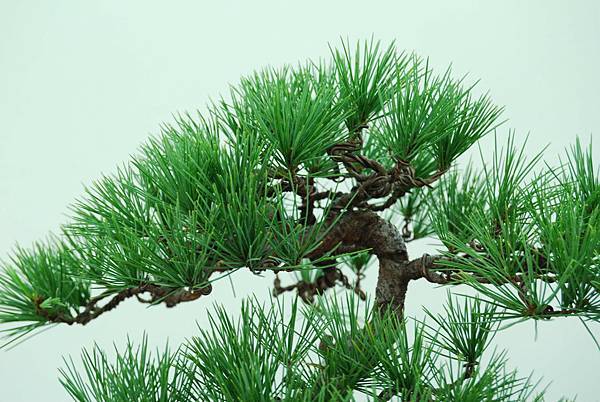 DSC_6383.jpg DSC_6383.jpg