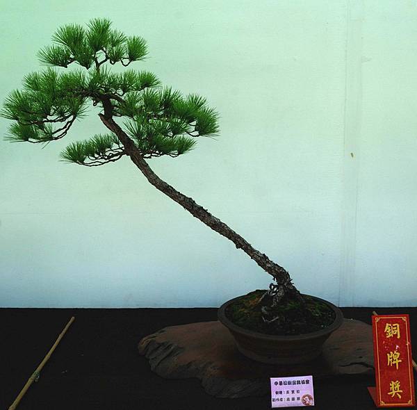 DSC_6384.jpg DSC_6384.jpg