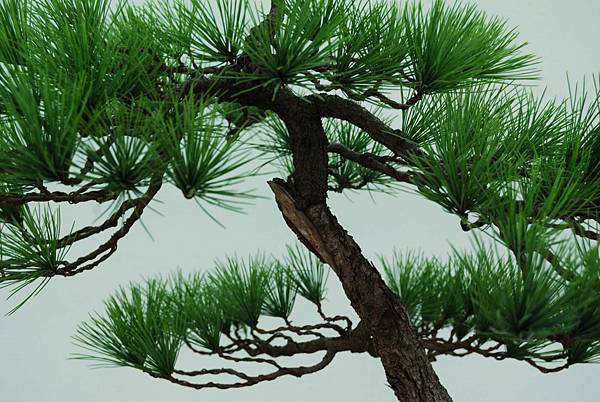 DSC_6387.jpg DSC_6387.jpg