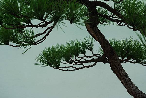 DSC_6389.jpg DSC_6389.jpg